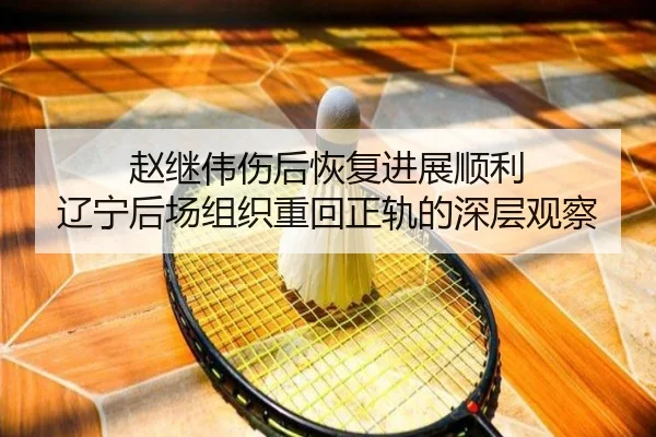 赵继伟伤后恢复进展顺利 辽宁后场组织重回正轨的深层观察